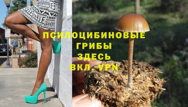 прущие крисы Медвежьегорск