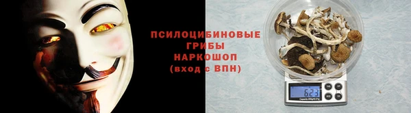 прущие крисы Медвежьегорск