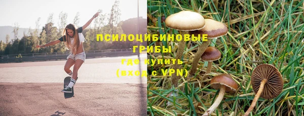 ешки Майский